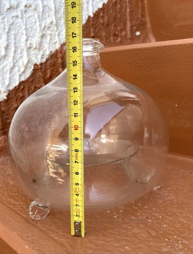 Bottiglia acchiappa mosche