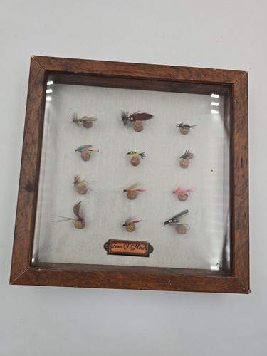 Espositore pesca mosca in - espositore, a