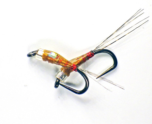 Lotto glass bullet nymphs - bullet,