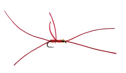 App perline bloodworm mosche - 3,