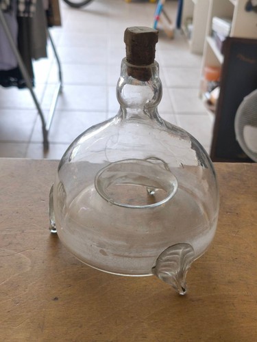 Vecchia trappola per mosche - mosche, in